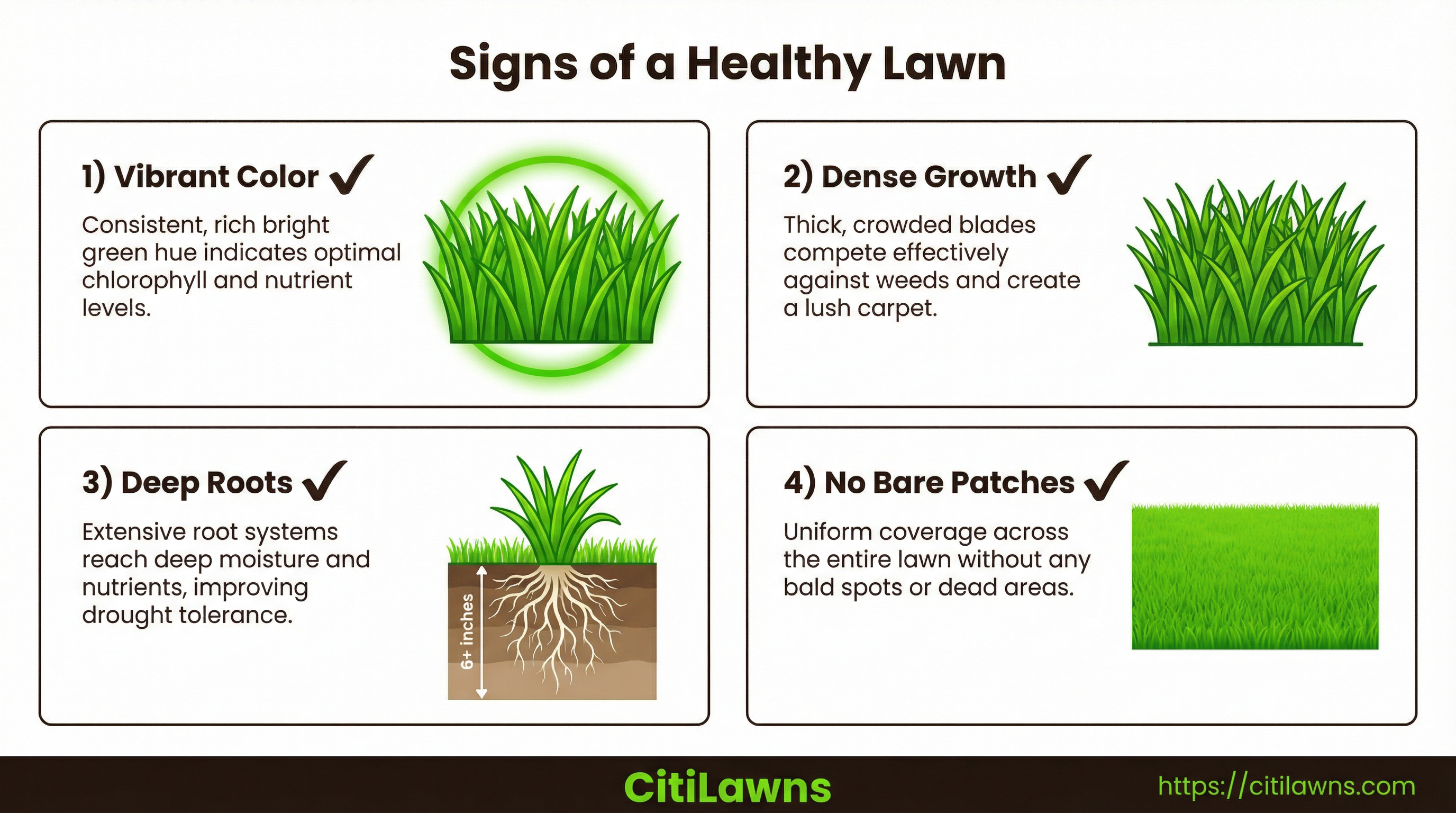 Signs of a healthy lawn - color, density, root depth, and coverage indicators
